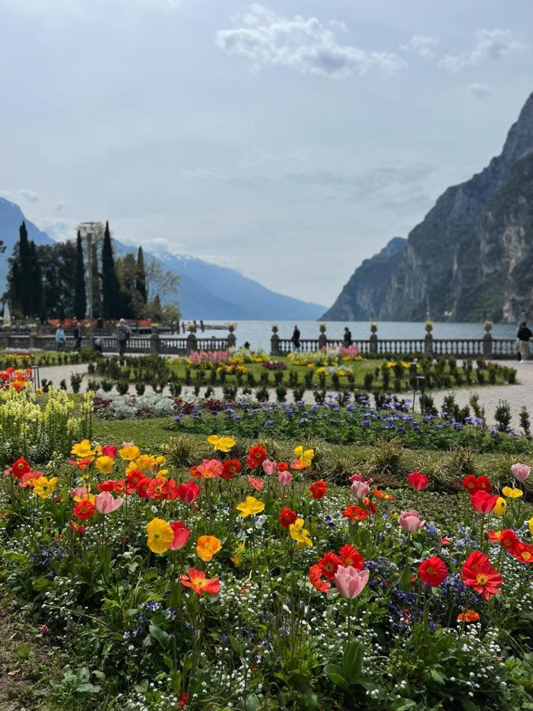Absentia 1763 Garda Boutique Home - Lake Front برنزوني سول جاردا المظهر الخارجي الصورة